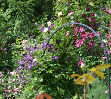 Foto tuin natuur.jpg