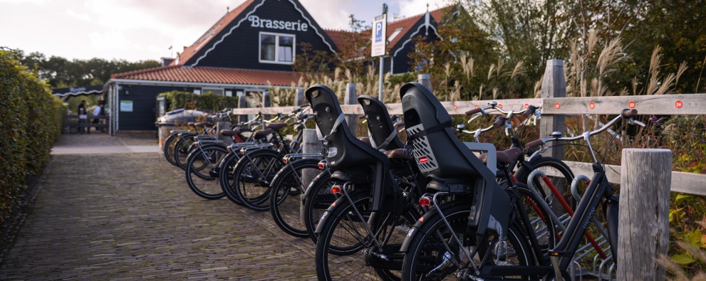 Fietsverhuur Meerpaal.jpg