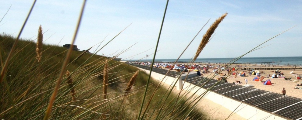 strand_01.jpg